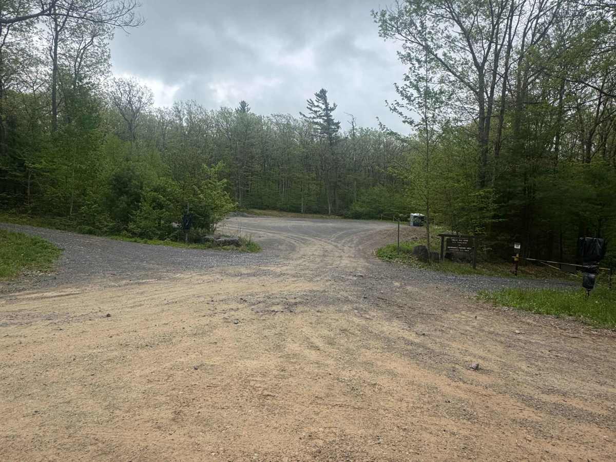 Twelve Mile Road photo 4