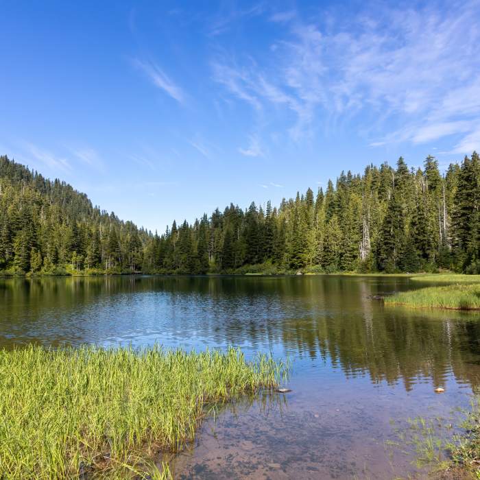 Near Little Divide Trail