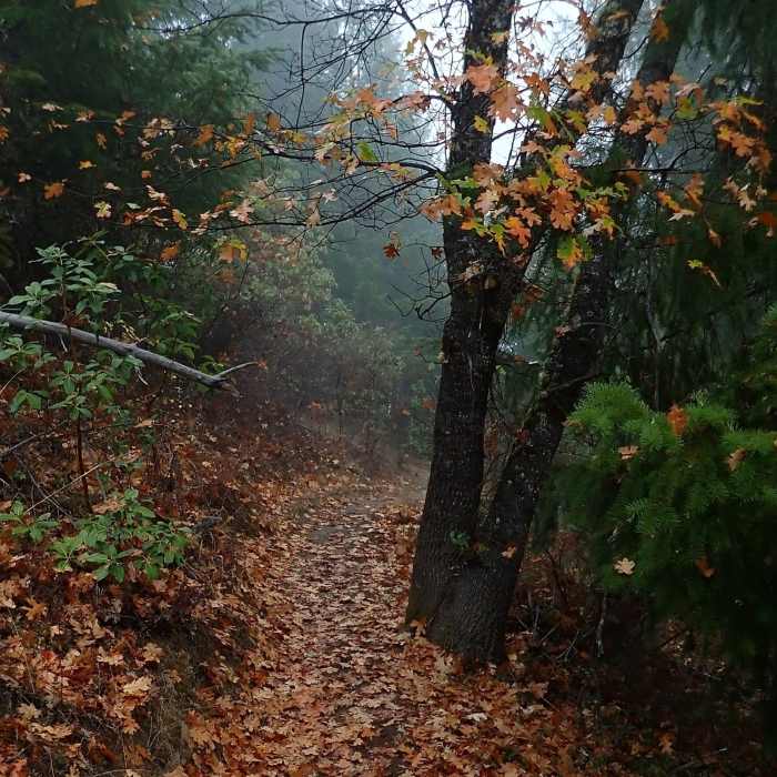 Near Naversen Family Trail