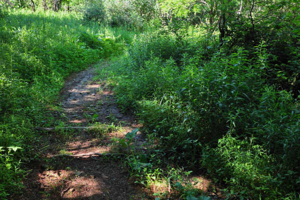 Single Track M