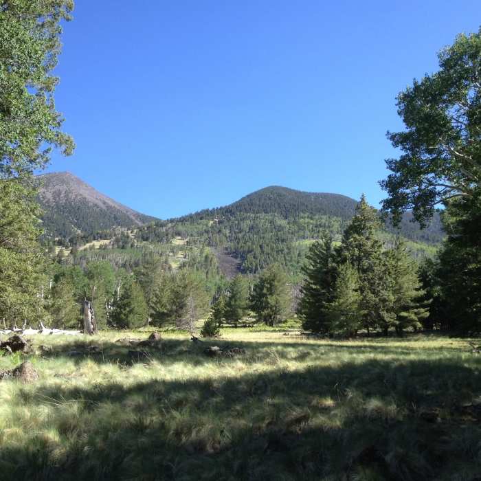 Near Kachina Trail Out-and-Back