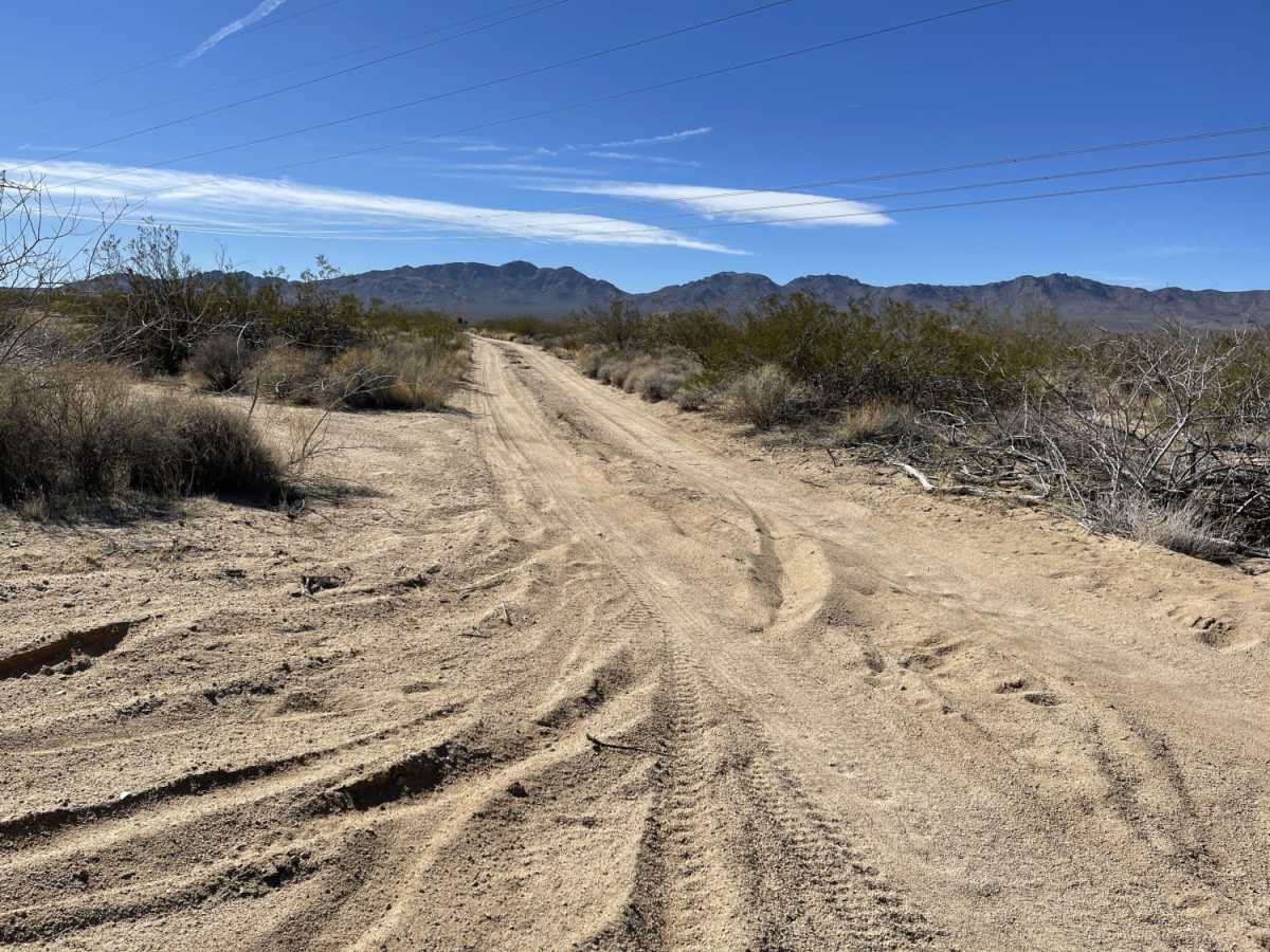 Ivanpah Cima Road photo 5