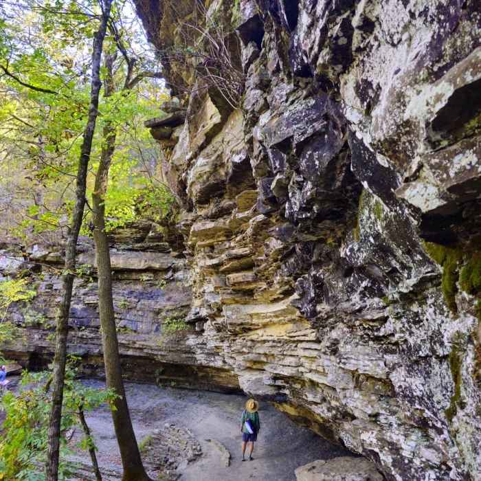 Twin Falls Near Fossil Flats Trail