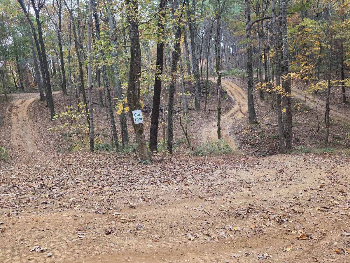 The Pines Cut Thru trail photo