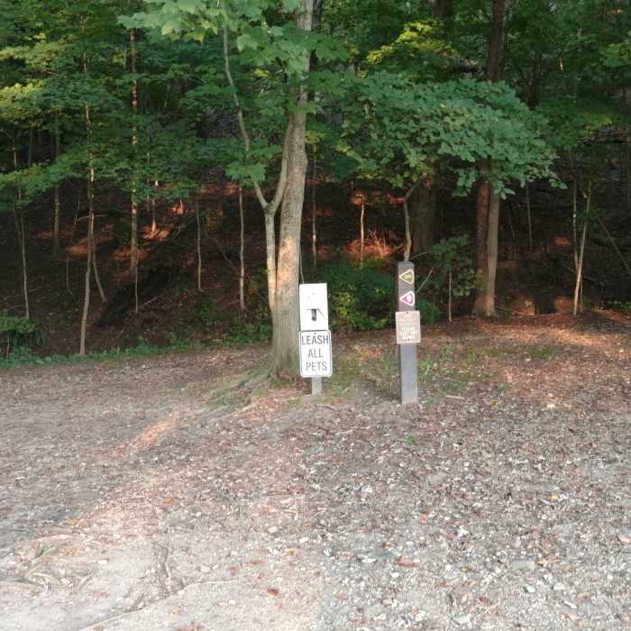 Near Adam Run Trail