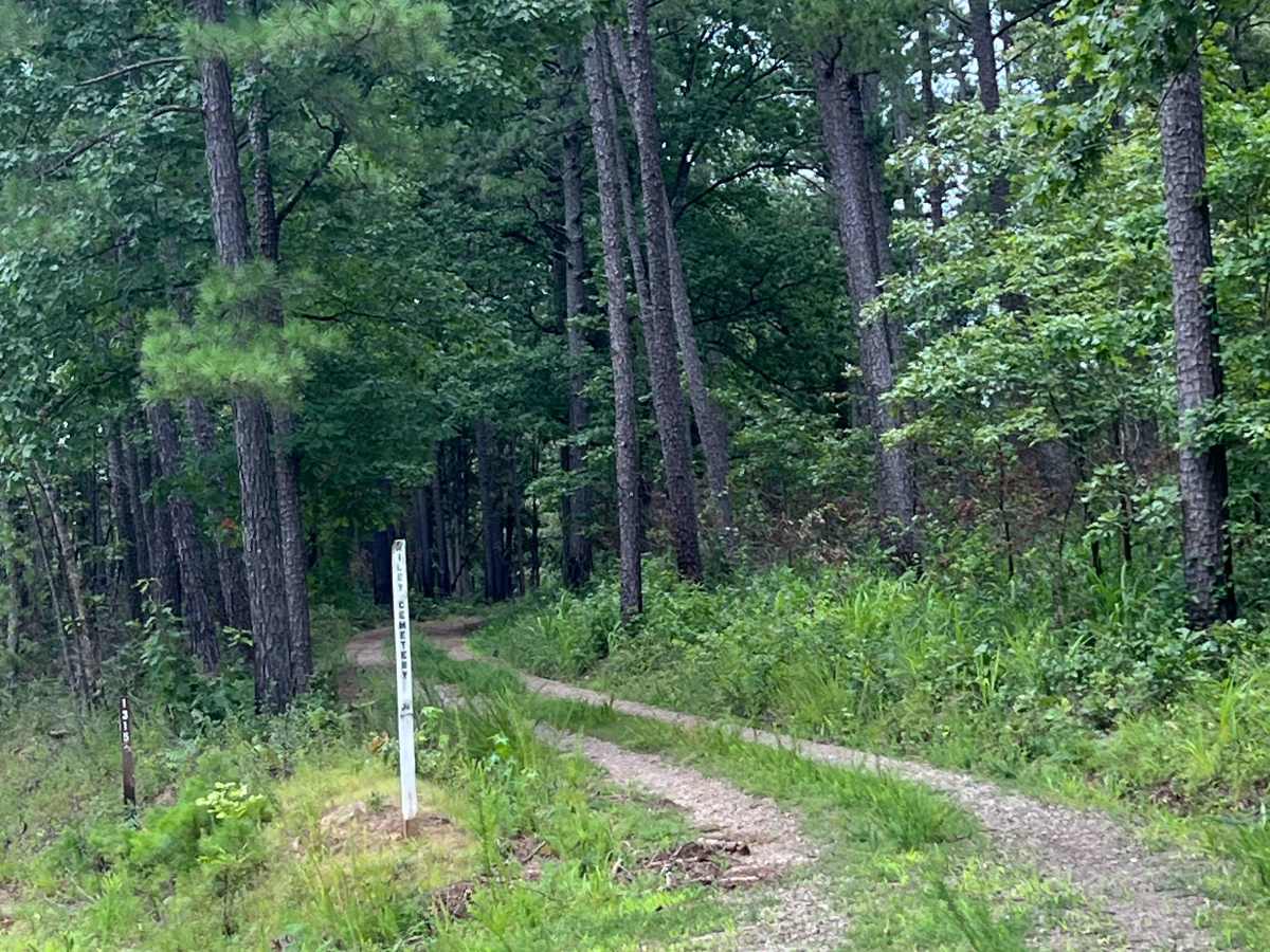 Wiley Trail  photo 2