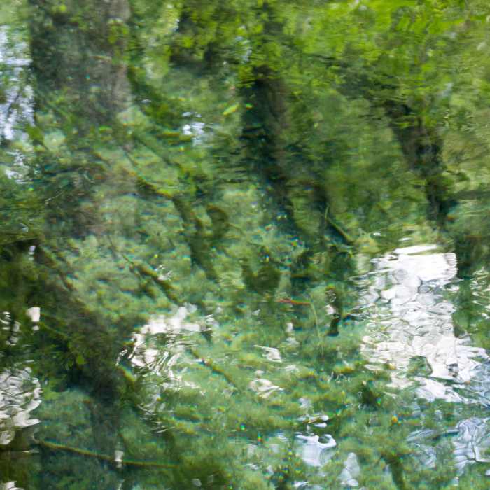 Ichetucknee Springs Water Near Ichetucknee Springs State Park