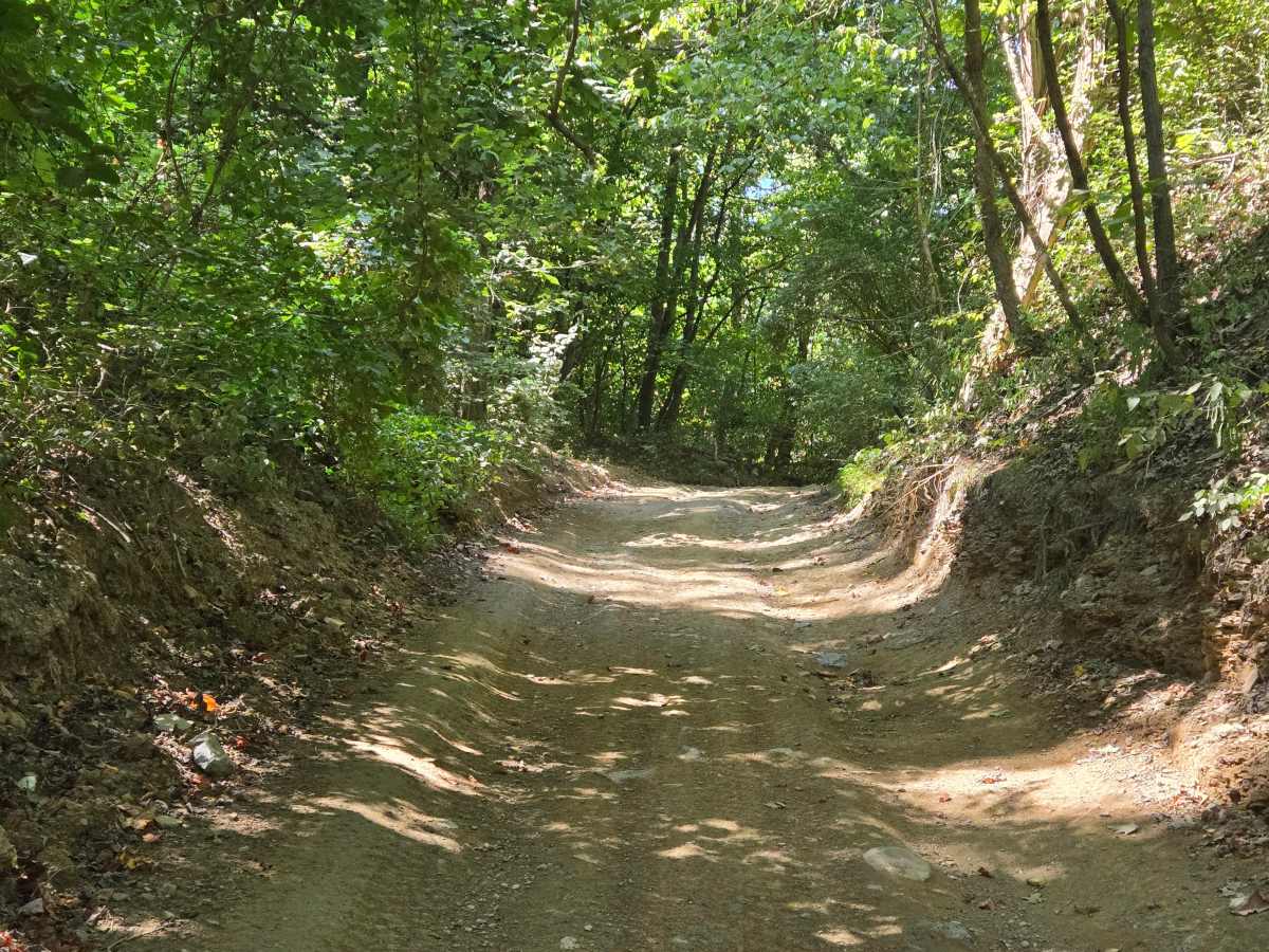 Trail 50  photo 2