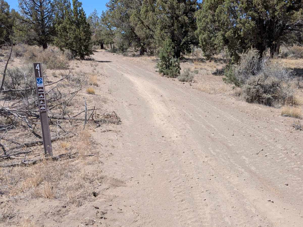 Cline Buttes Off Highway Vehicle Trail 41 photo 2