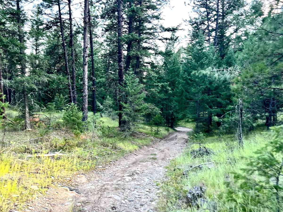 Grasmere Dorr Central 4WD Trail photo 6