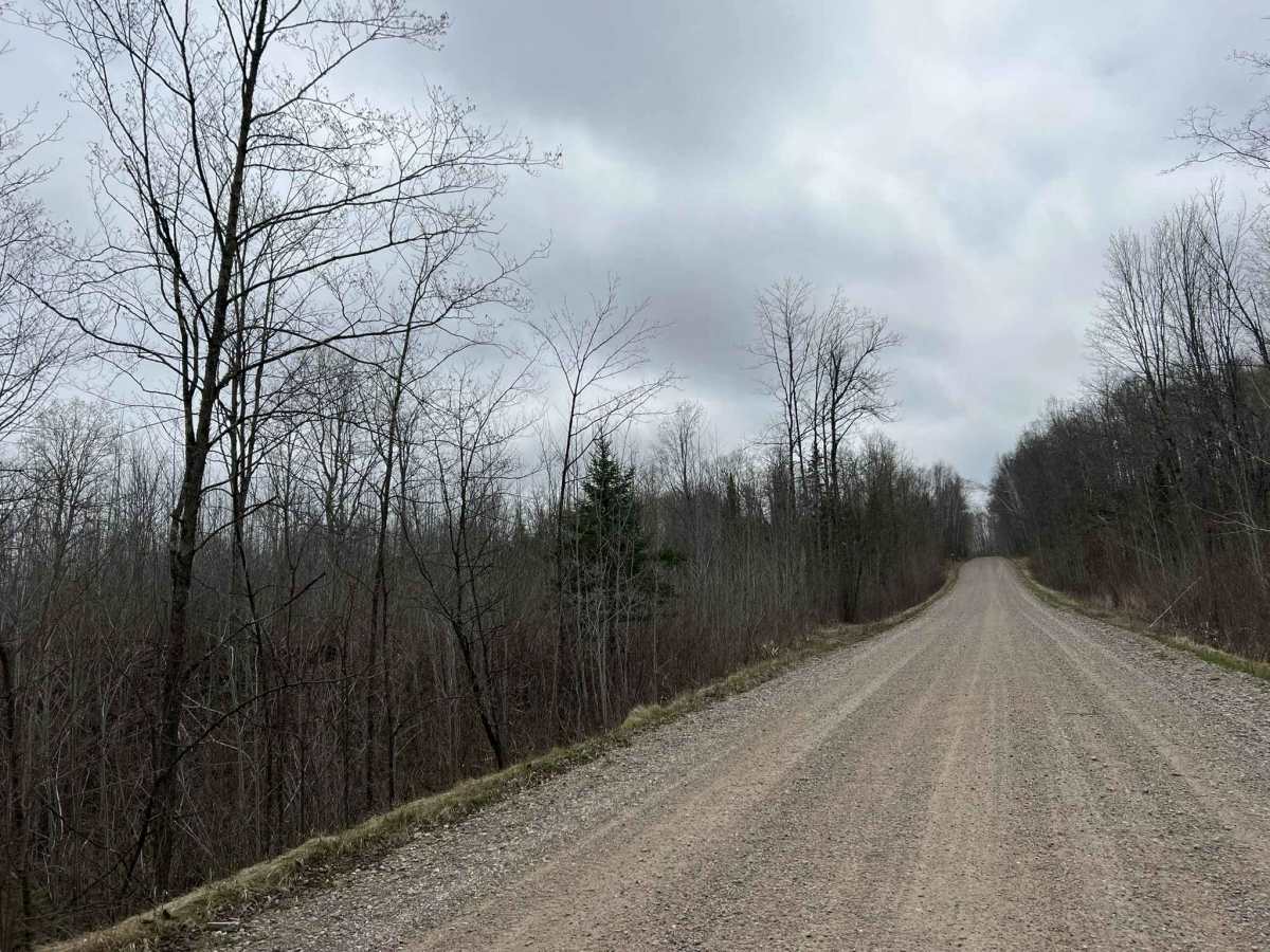 Saul Springs Road trail photo