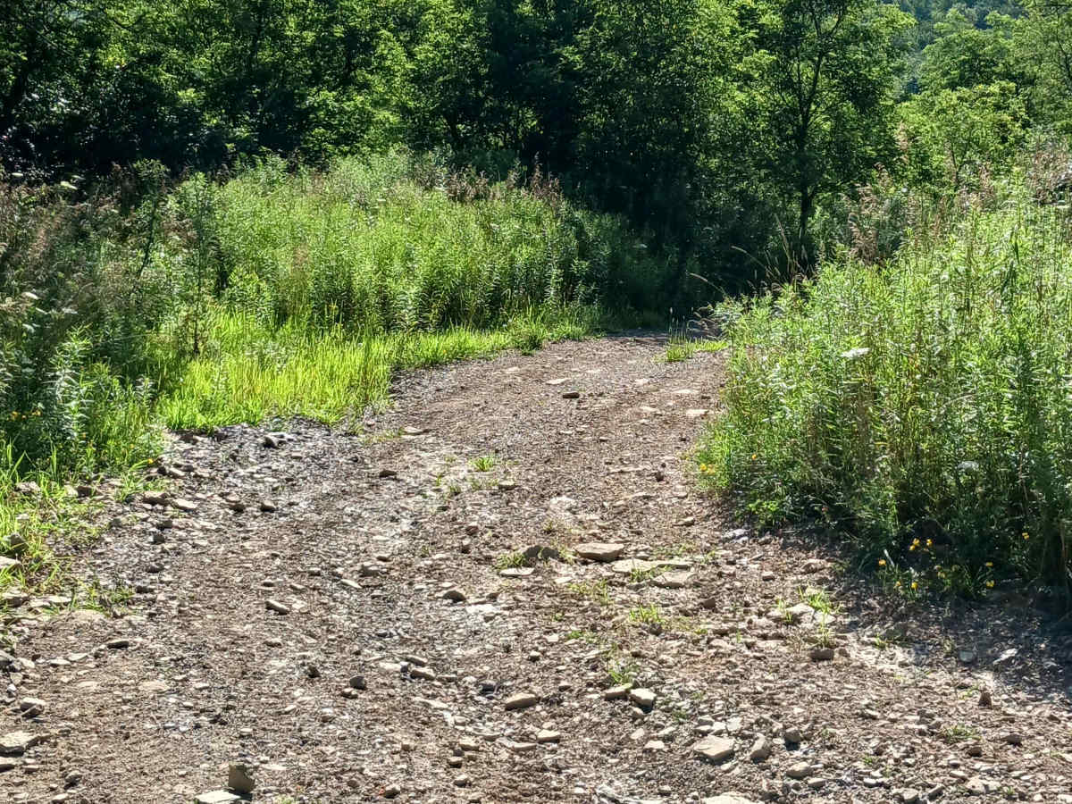 Trail 12O - Rock Run Recreation Area photo 2