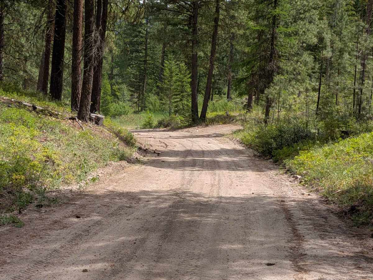 Woody Summit Road photo 2