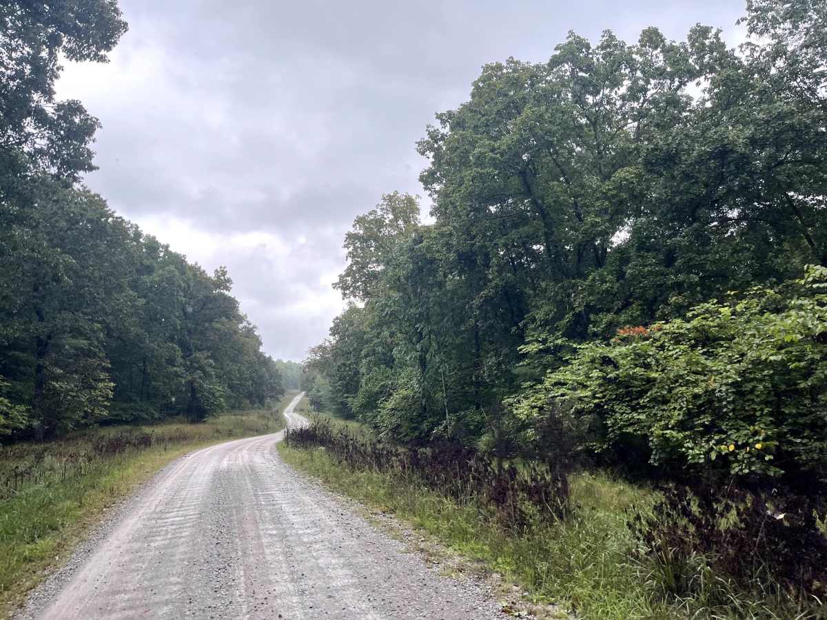 Otter Creek Road  photo 4