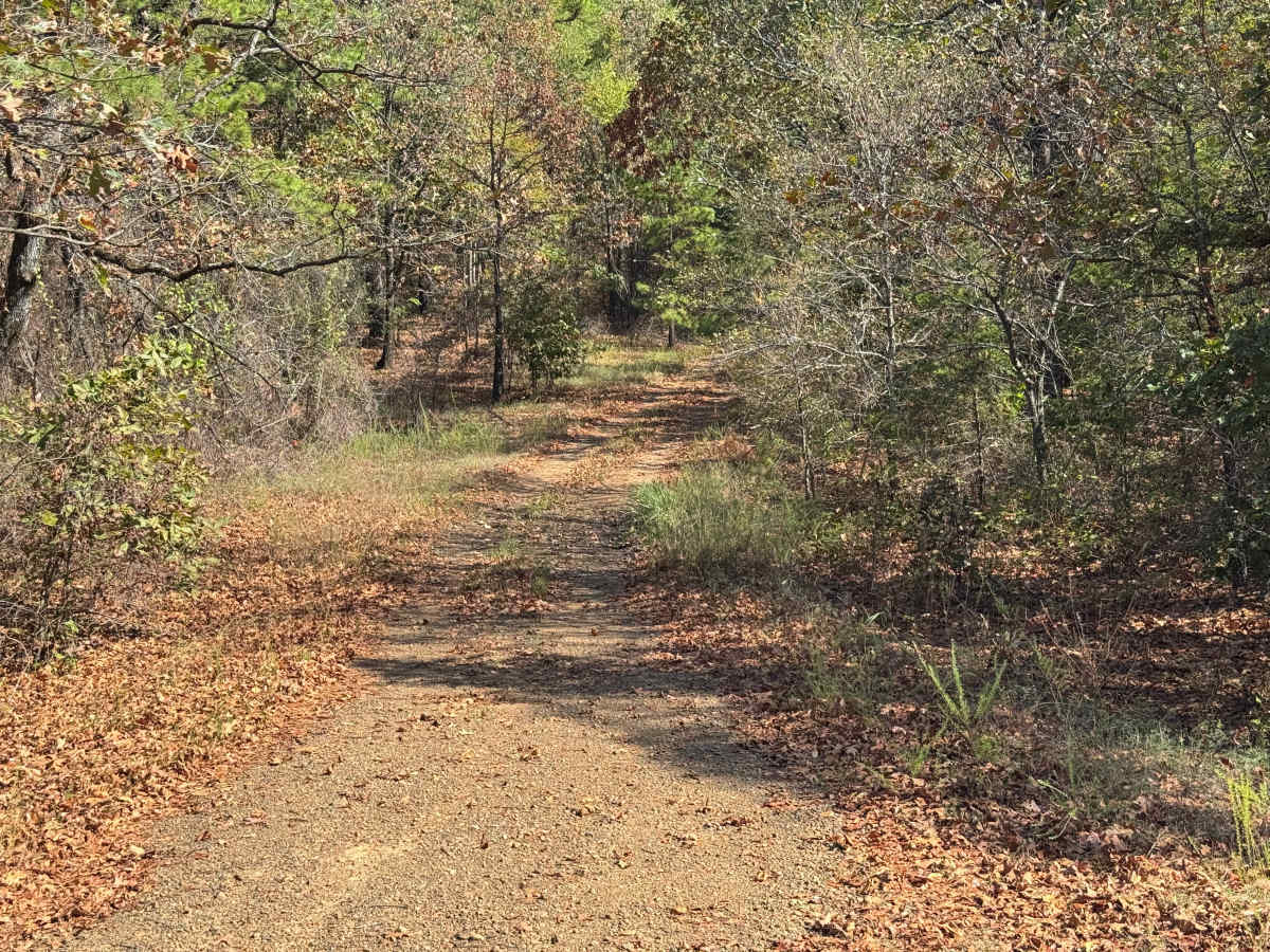 Crow - FS 1630 trail photo