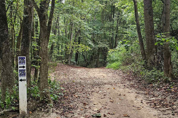 Trail 24 