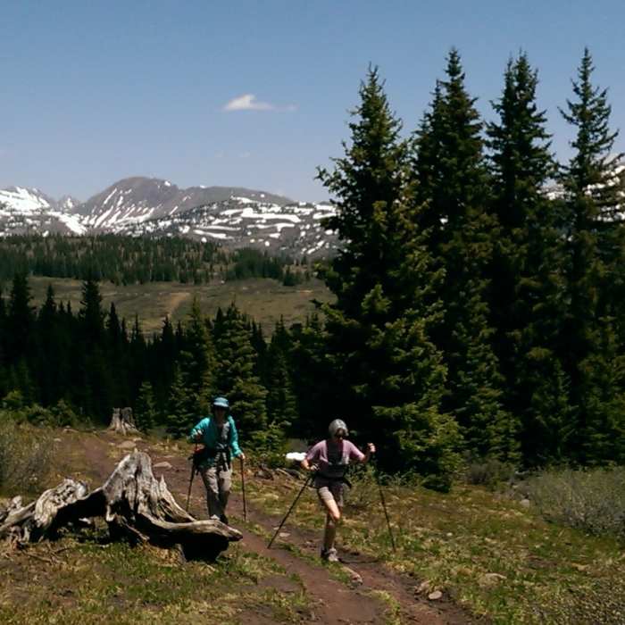 Near Shrine Ridge Trail #2016