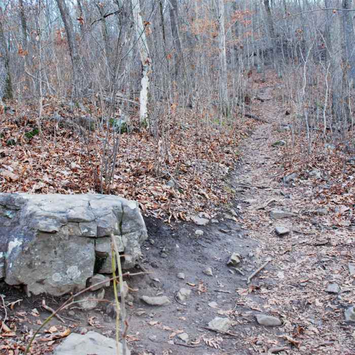 Near George Disney Trail