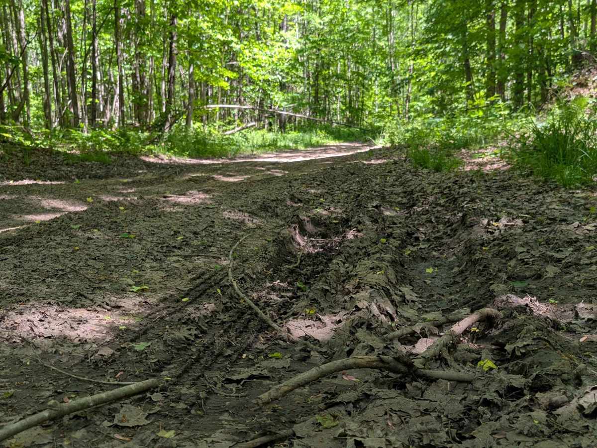 Phelps Road trail photo