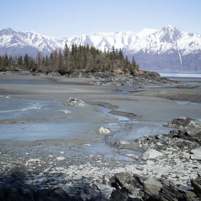 Near Gull Rock Trail