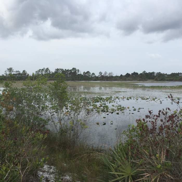 Near Green Trail