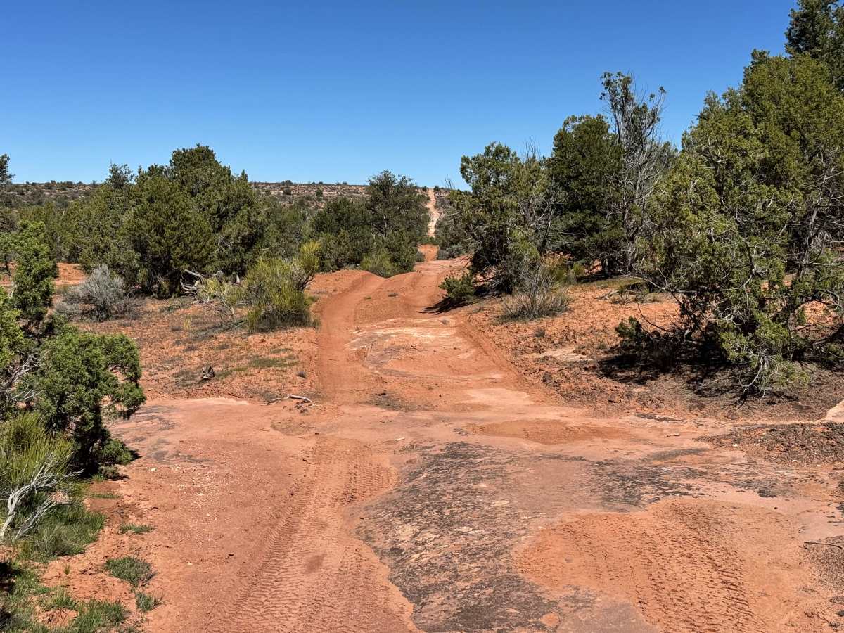 Trail Canyon Shortcut photo 3