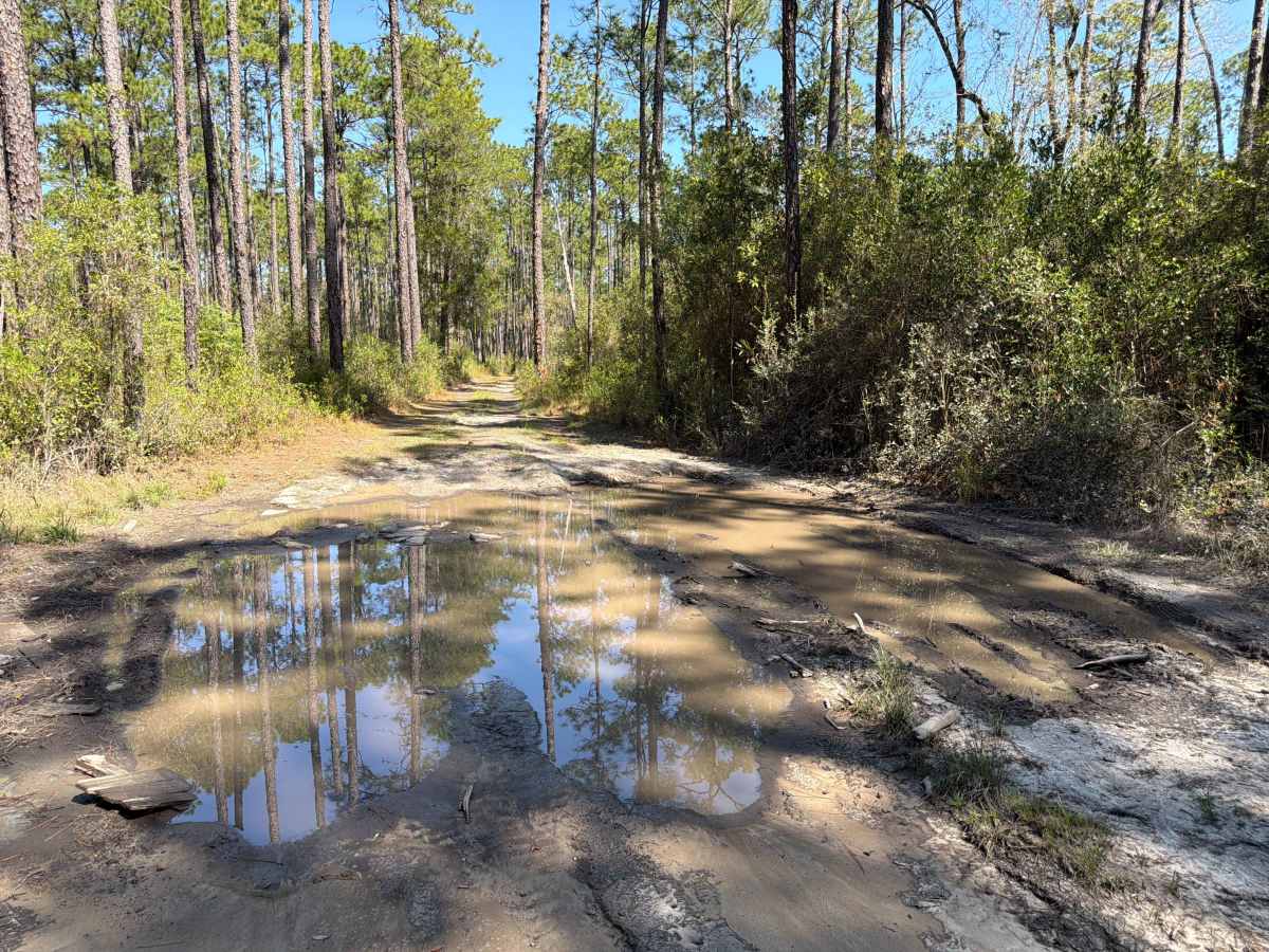 Penny Creek Road photo 5