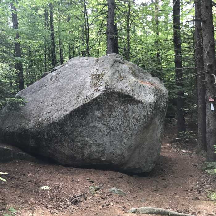Near Wolf Tree Trail