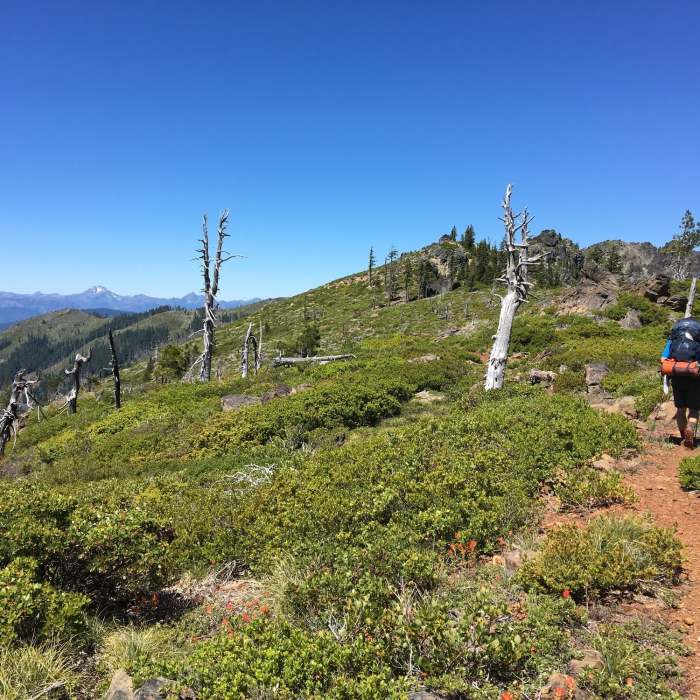 Near Red Buttes Loop