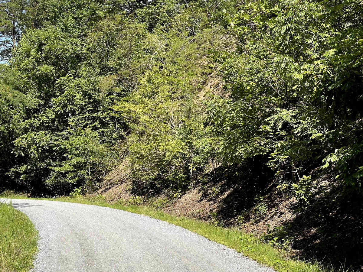 Old Rail Road  photo 2