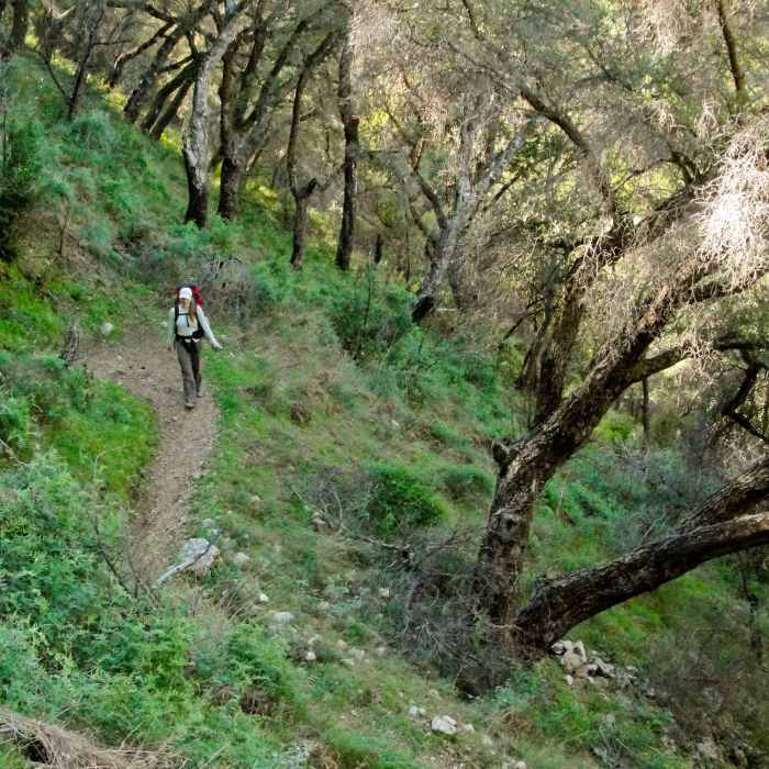 Near Pine Ridge Trail to Sykes Hot Springs