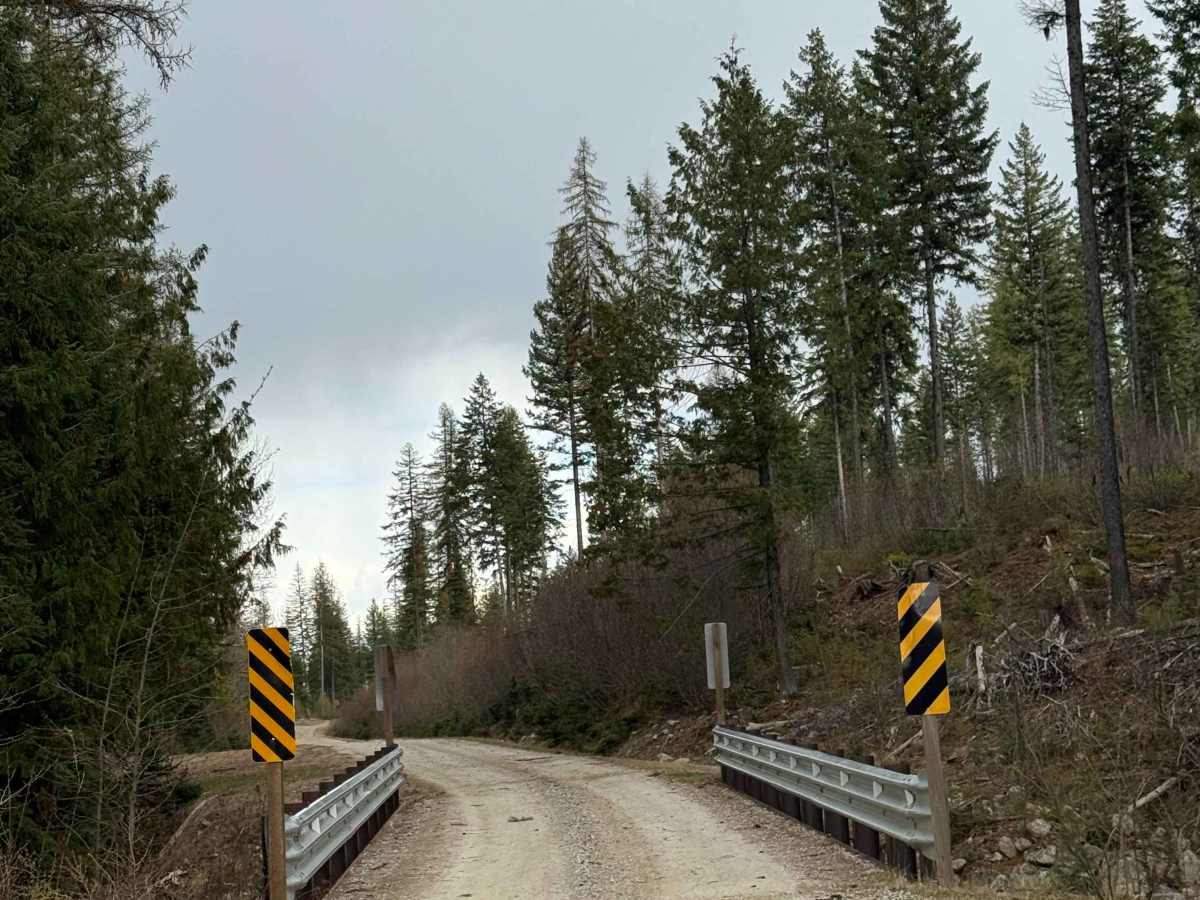 Taylor Ridge Trail photo 3