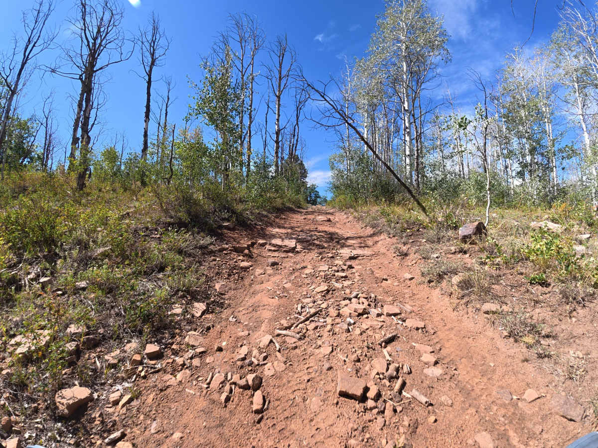U C Creek Road photo 3