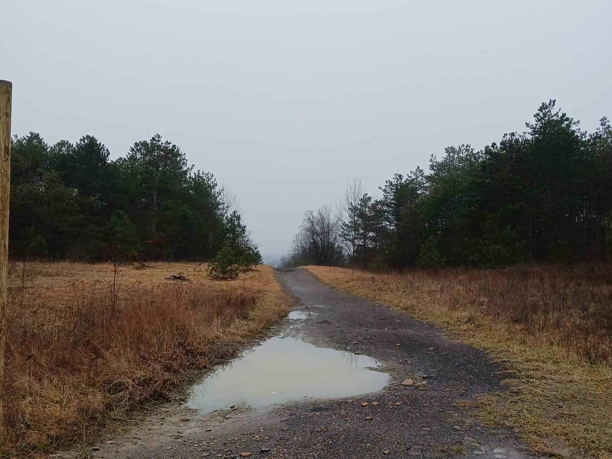 The Strip - Rock Run Recreation Area photo 3