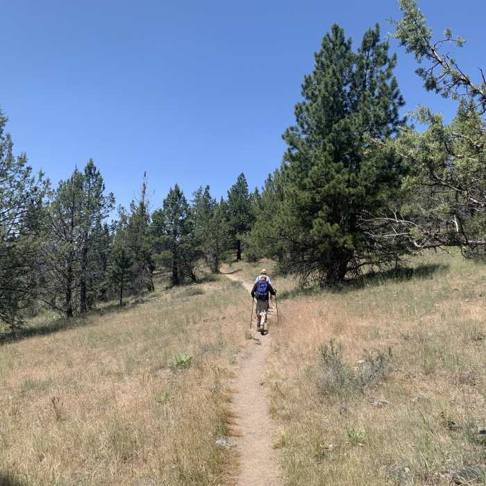 Near Steins Pillar Trail