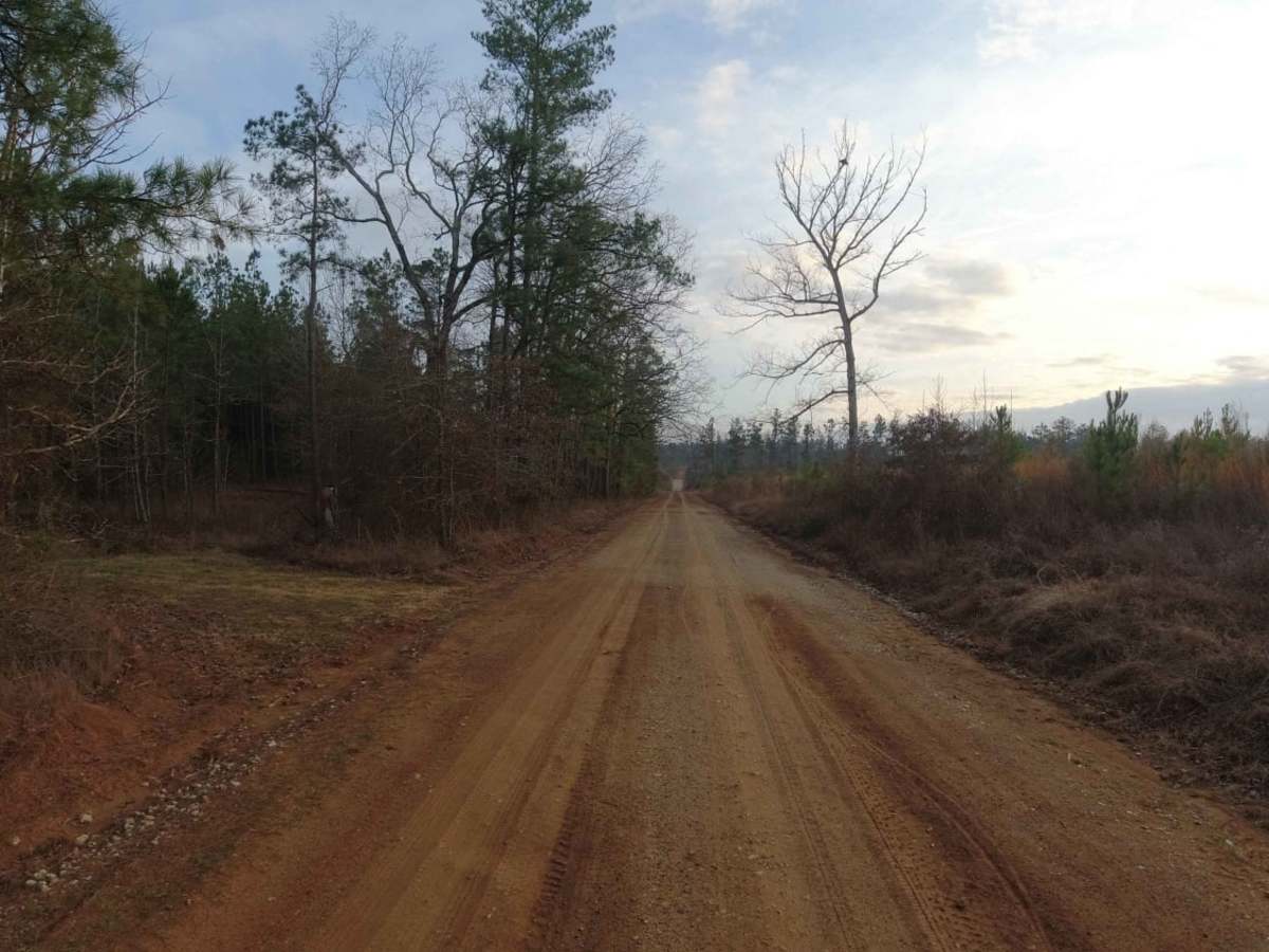 Davy Crockett National Forest Route photo 5