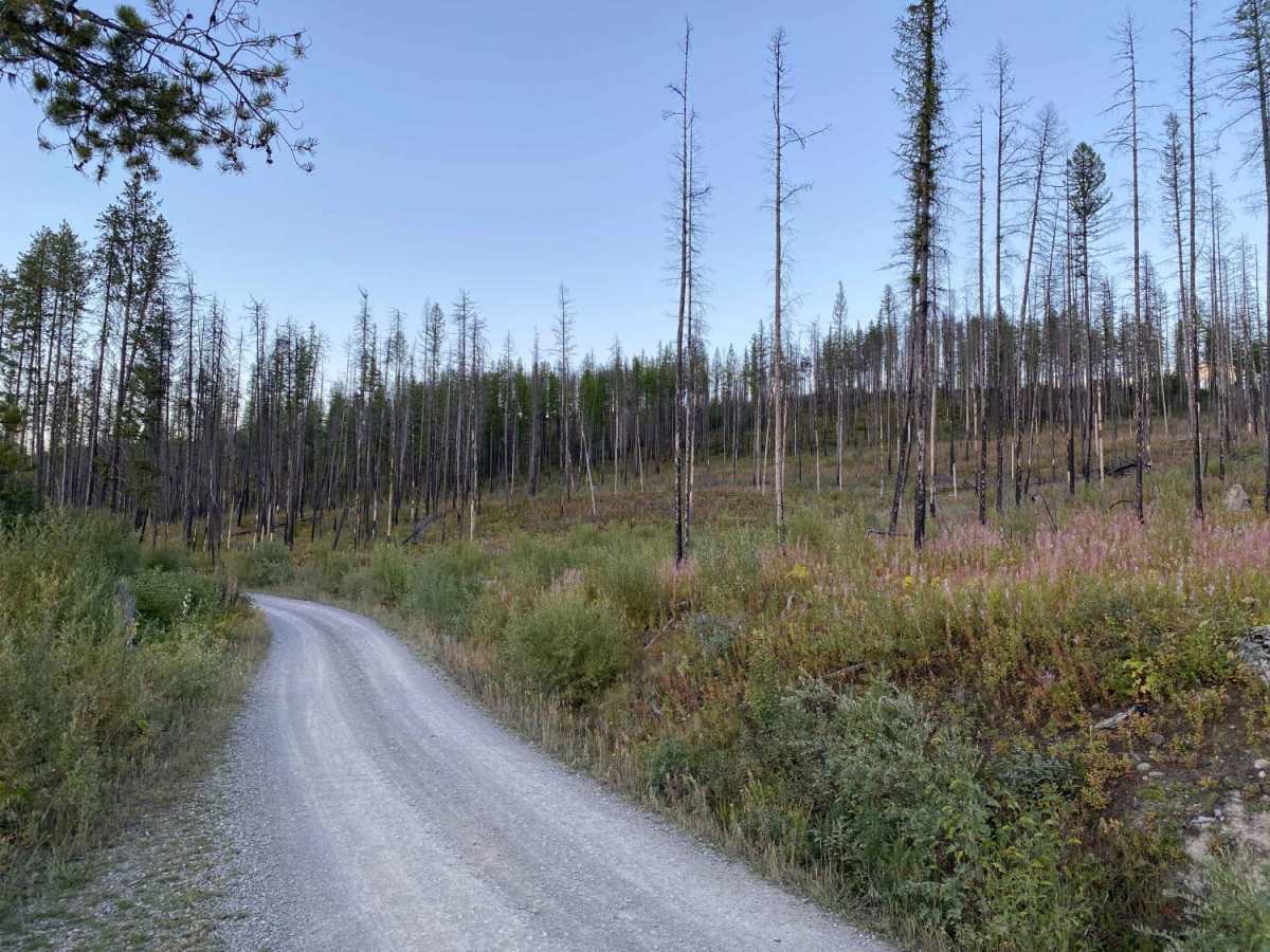 Inside North Fork Rd photo 2