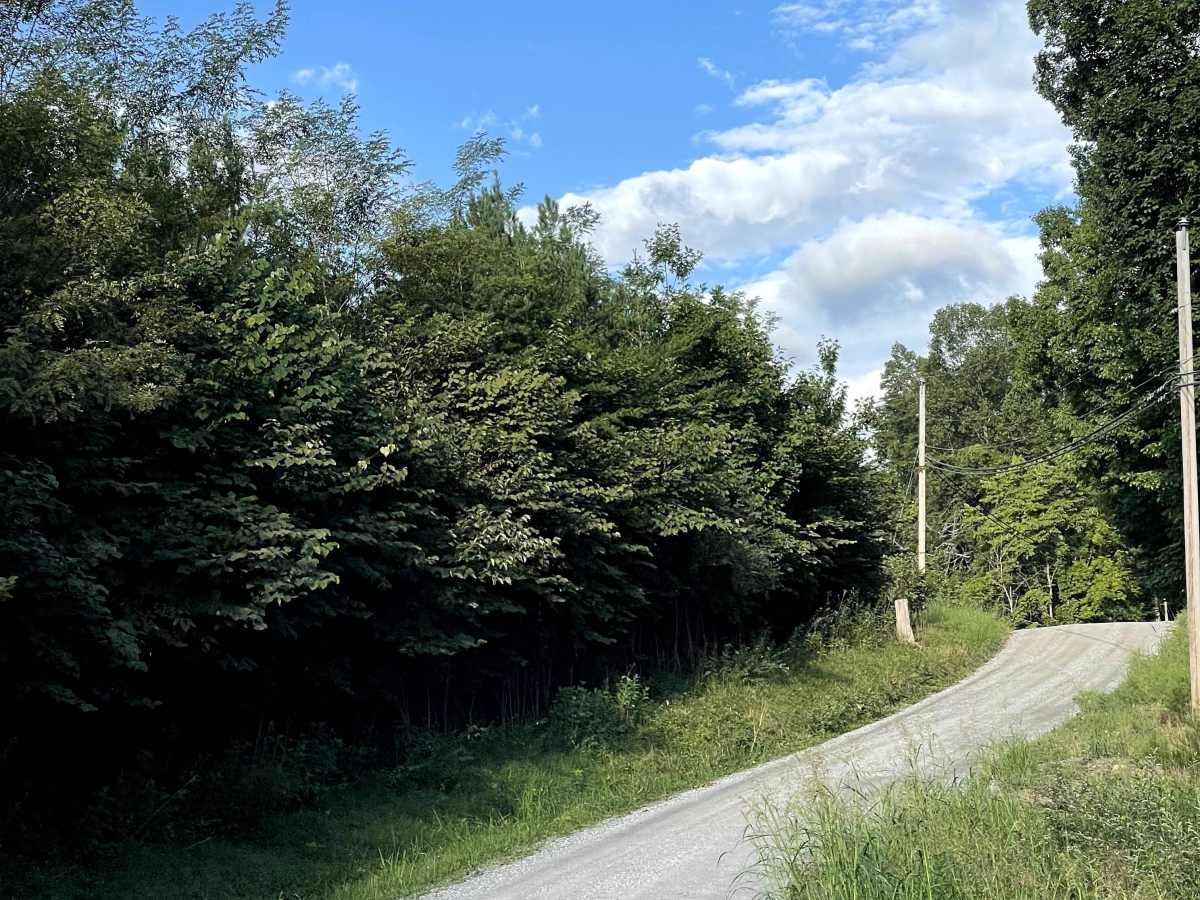 Mount Moriah Road  photo 2