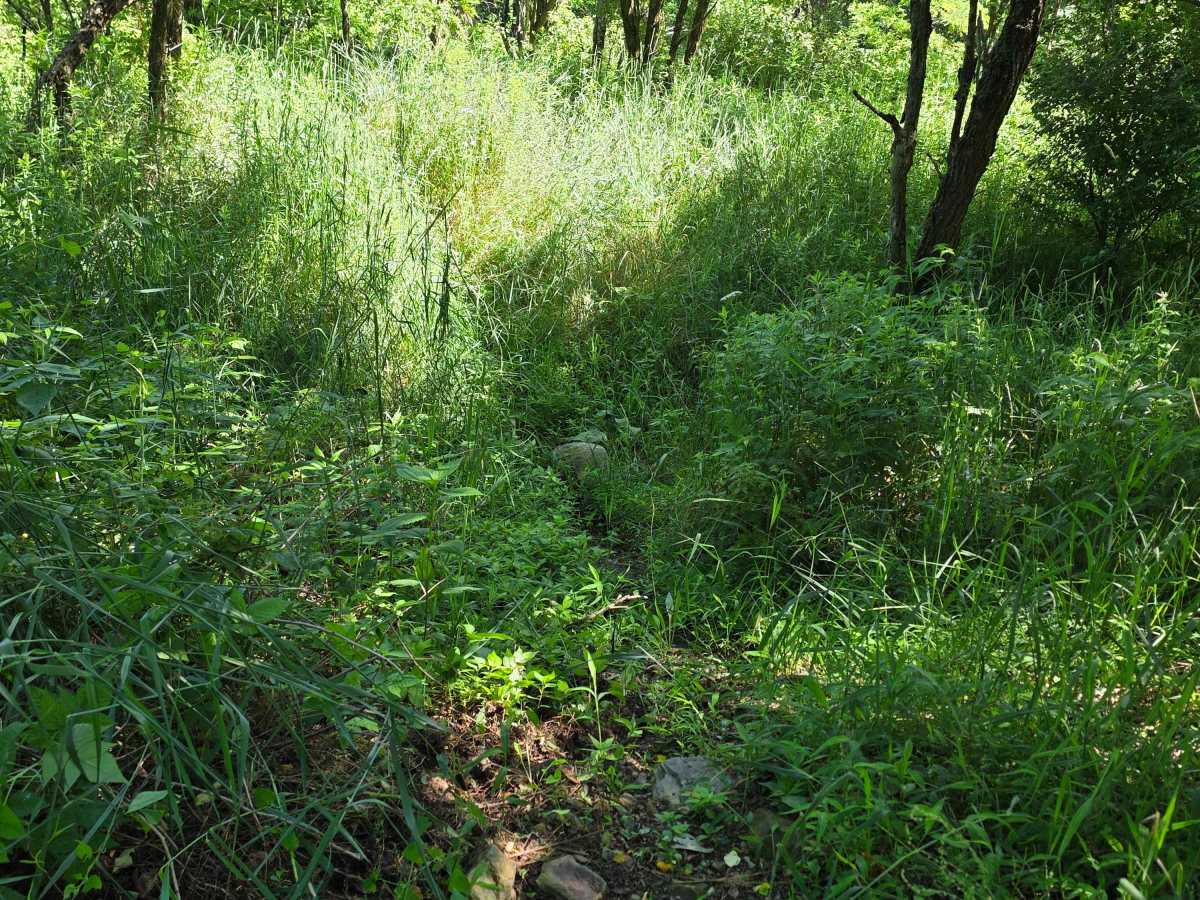 Single Track X photo 5