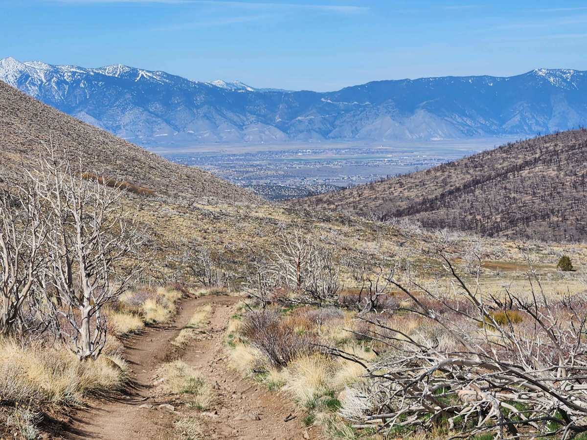 Lone Pine Canyon Road - BLM P-12 photo 4