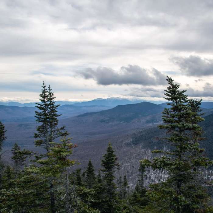 Near Mount Cabot via Bunnell Notch Trail Near Mount Cabot via Bunnell Notch Trail