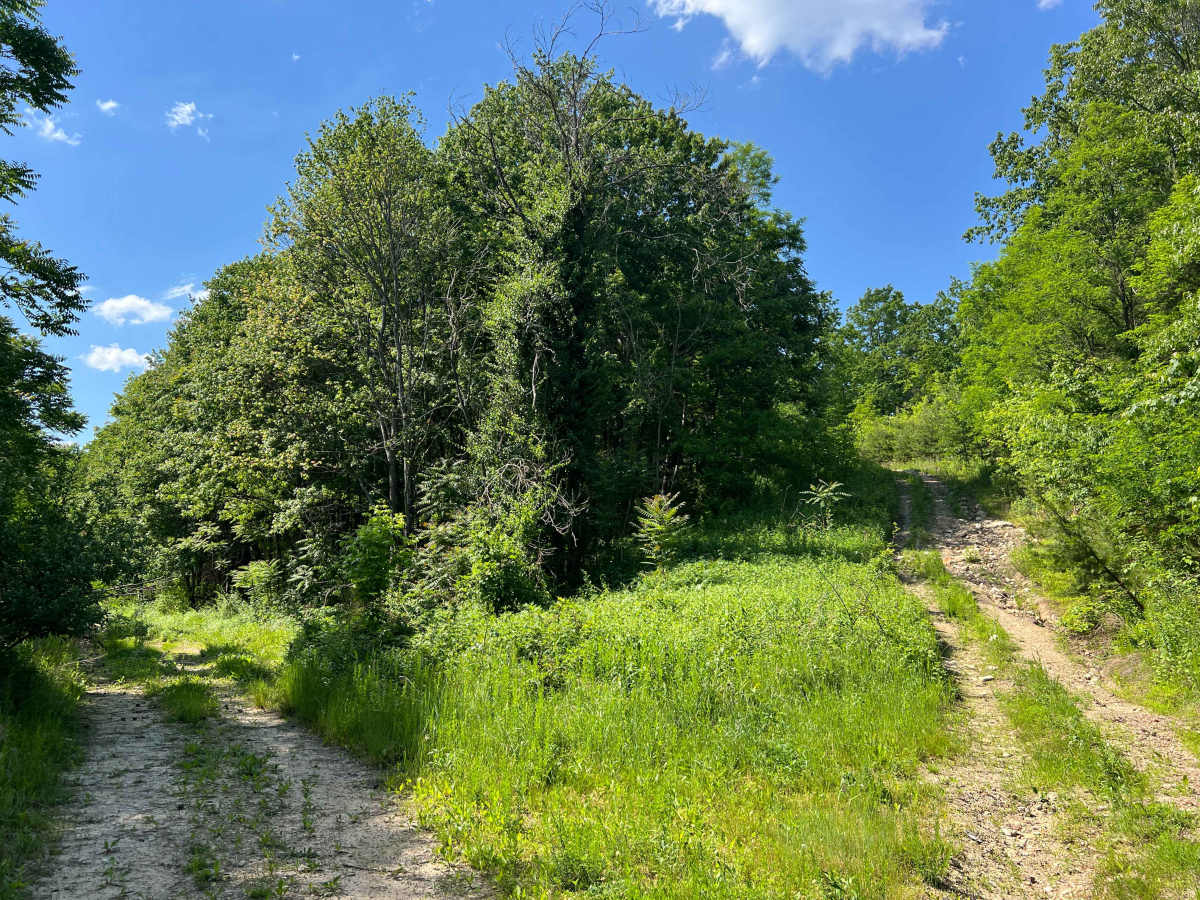 KC23A trail photo