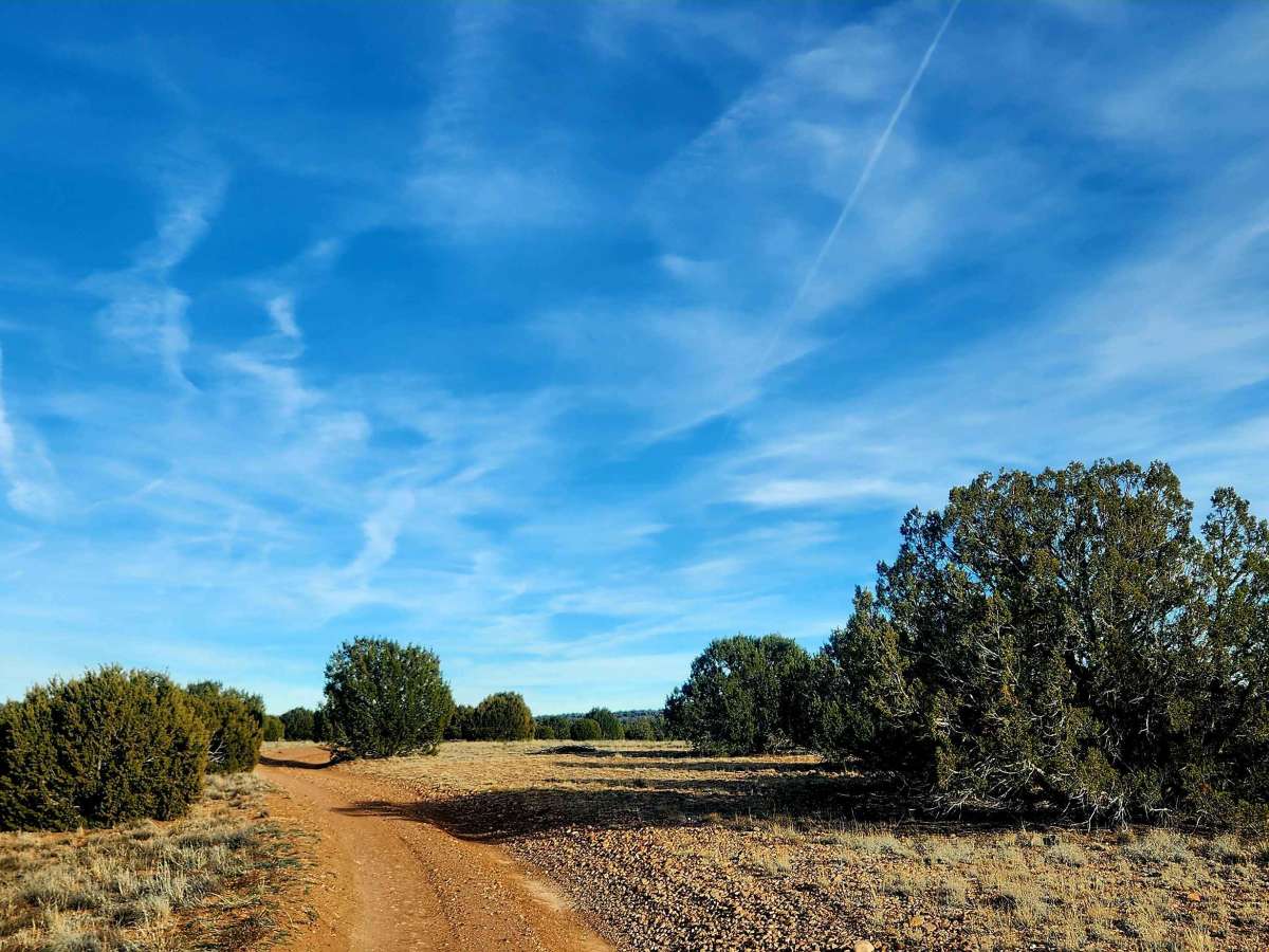 Thistle Hollow - FS 229 trail photo