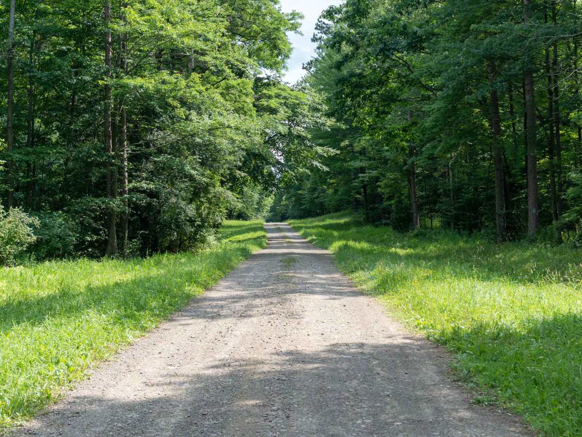 Canaseraga Truck Trail trail photo