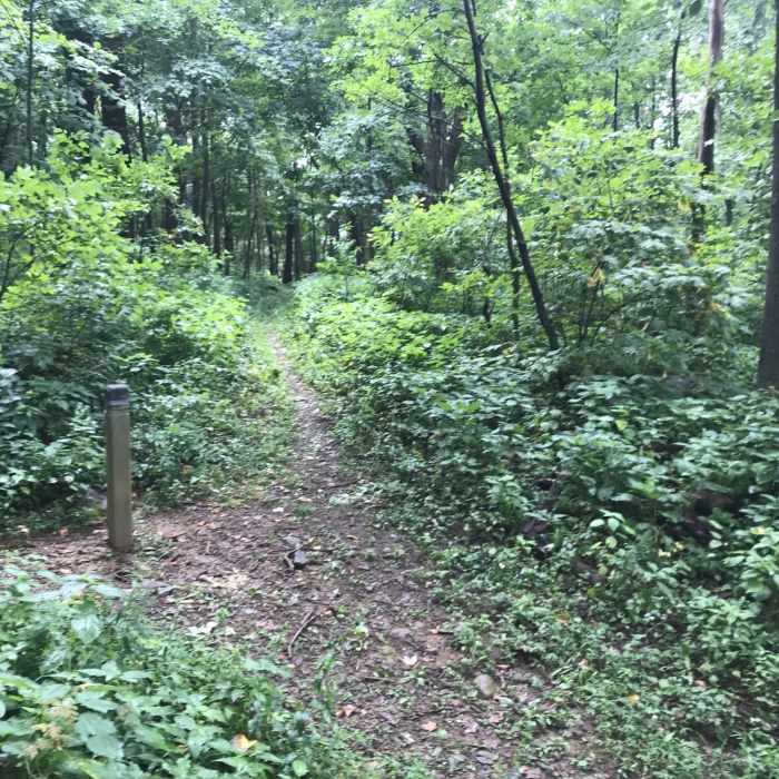 Near Jordan River Trail