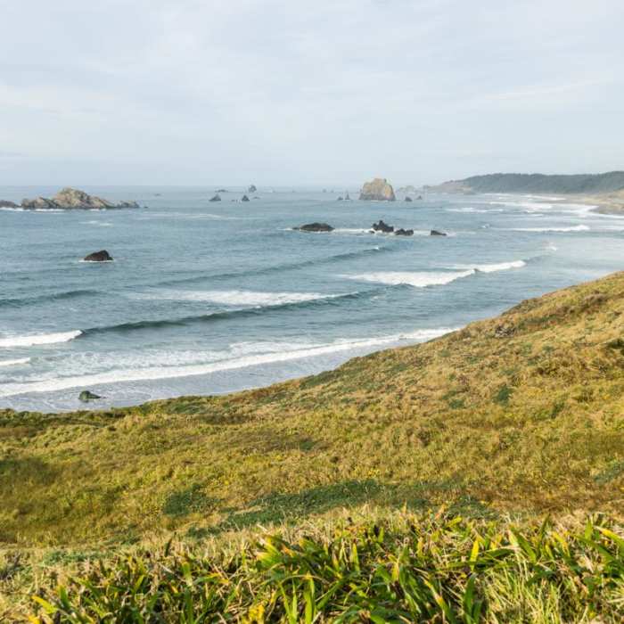 Near Cape Blanco Shore Trail