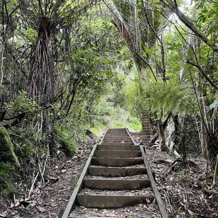 Near Pa Lookout Walk Near Pa Lookout Walk