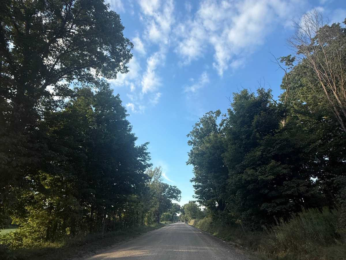 Pingree Trail photo 3