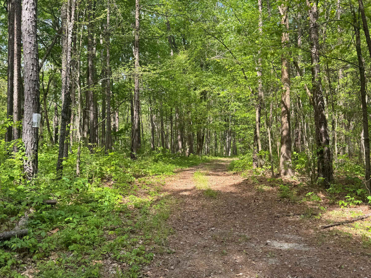 River to River Trail photo 4