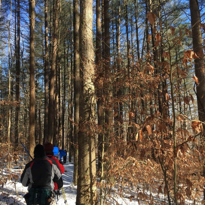 Near Peninsula Trail